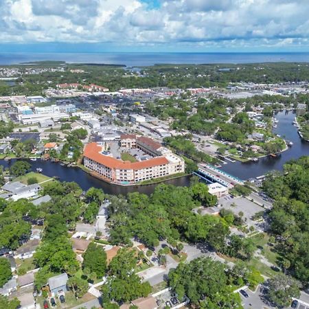 Walk Everywhere! 1-Bedroom Gem In Downtown Hub New Port Richey Exteriör bild