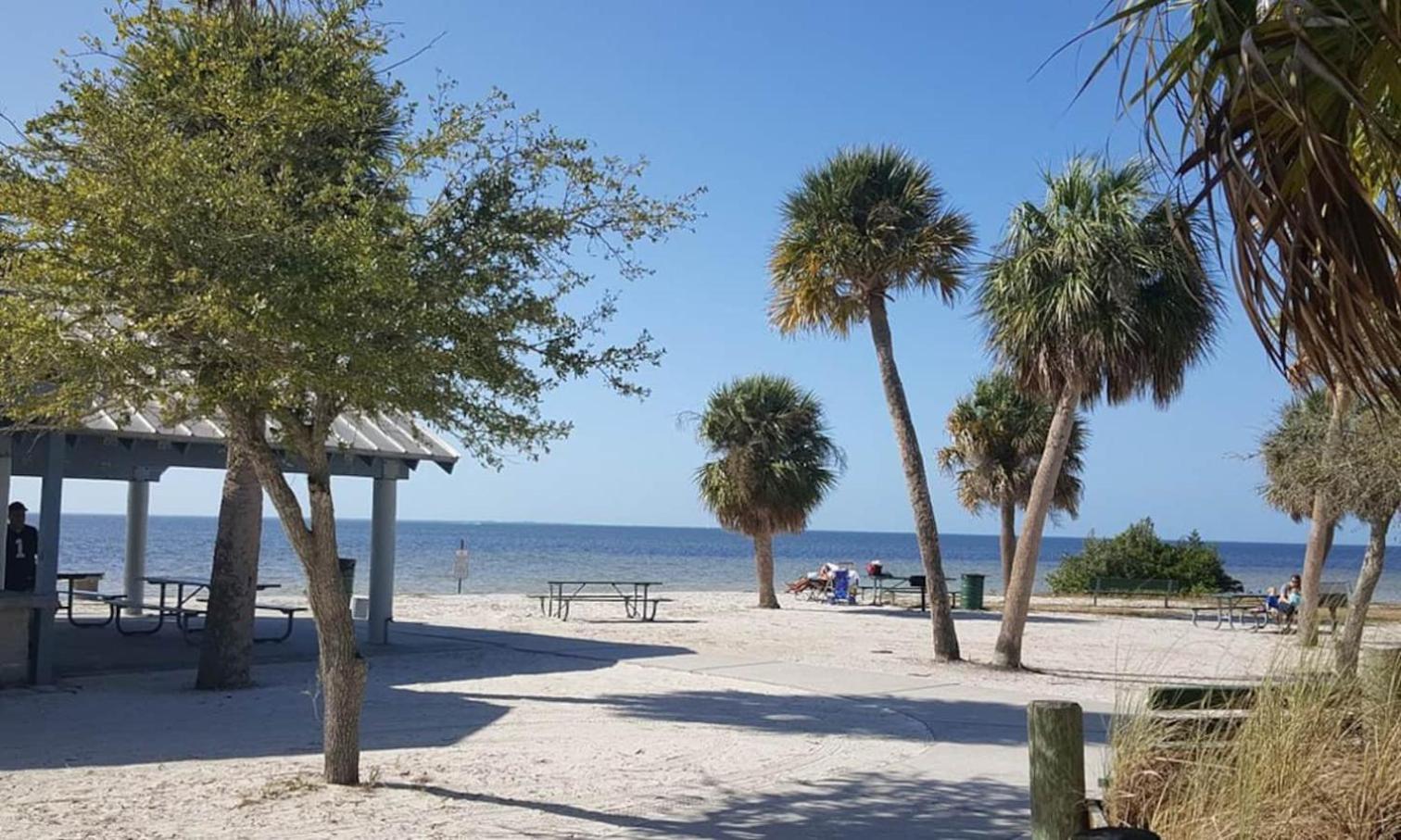 Walk Everywhere! 1-Bedroom Gem In Downtown Hub New Port Richey Exteriör bild