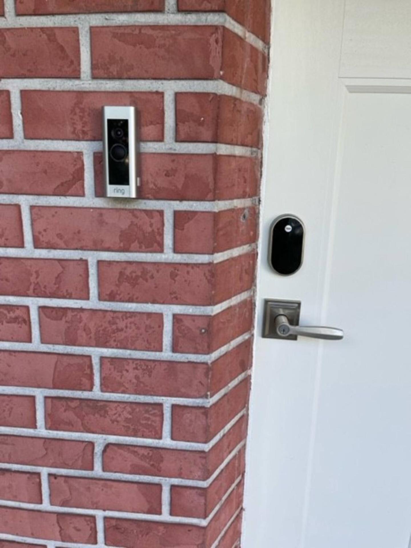 Walk Everywhere! 1-Bedroom Gem In Downtown Hub New Port Richey Exteriör bild