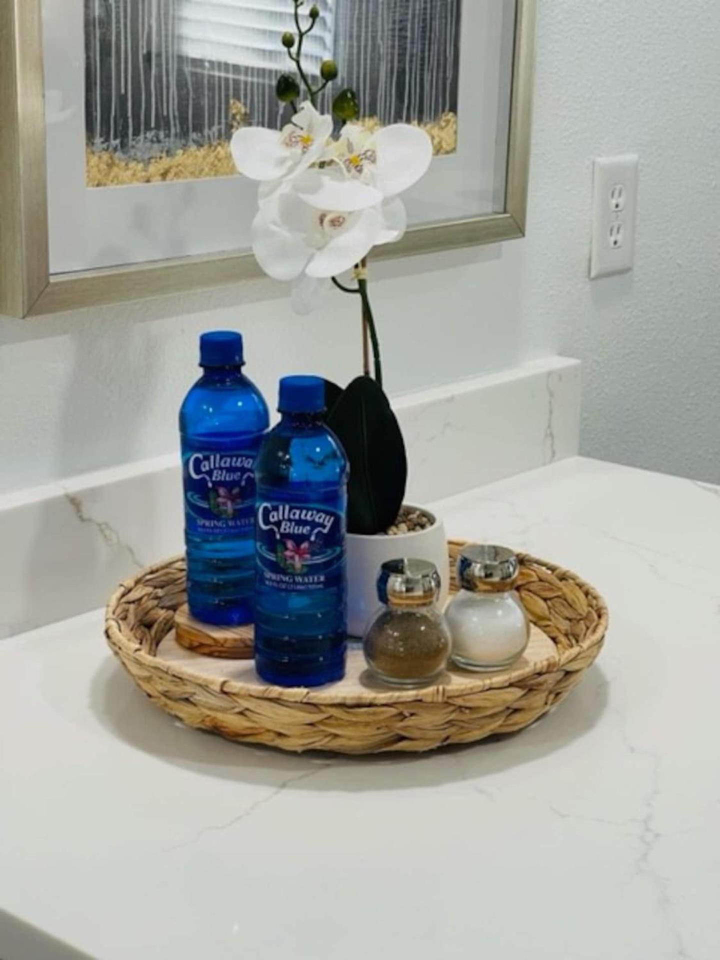 Walk Everywhere! 1-Bedroom Gem In Downtown Hub New Port Richey Exteriör bild