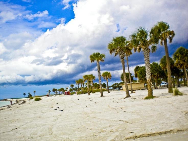 Walk Everywhere! 1-Bedroom Gem In Downtown Hub New Port Richey Exteriör bild