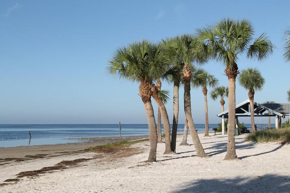 Walk Everywhere! 1-Bedroom Gem In Downtown Hub New Port Richey Exteriör bild